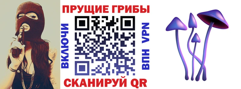 Купить закладки  Зуевка  Псилоцибиновые грибы Cubensis 